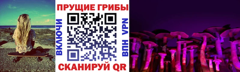 Галлюциногенные грибы мицелий  Беломорск 
